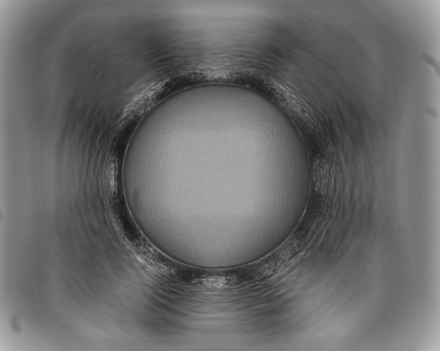 X0000096380740200802141430