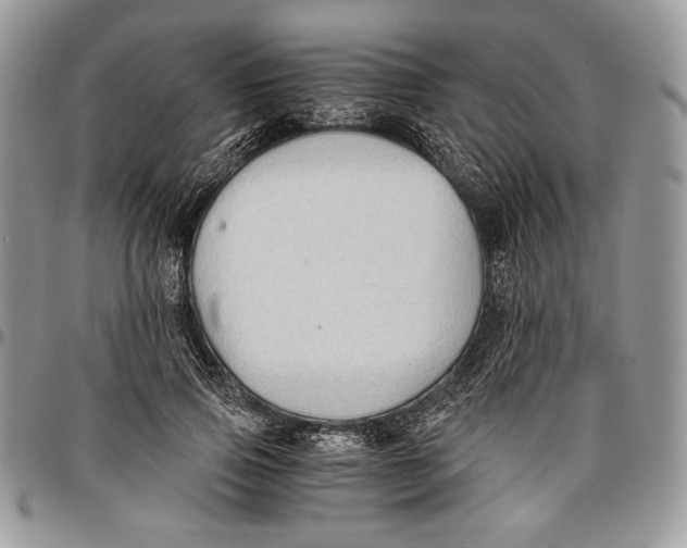 X0000096380741200802141430