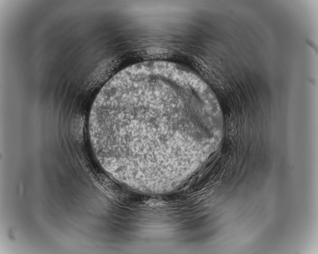 X0000096380742200802141430