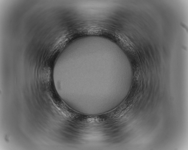 X0000096380744200802141430