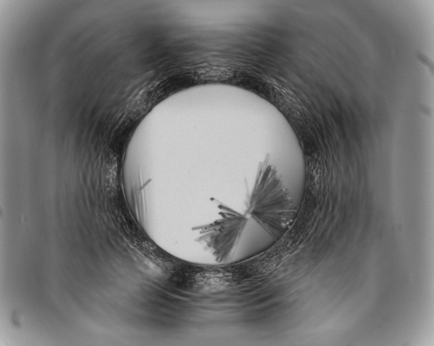 X0000096380745200802141430