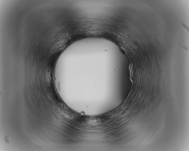 X0000096380746200802141430