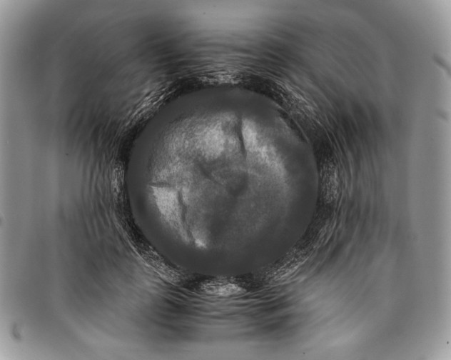 X0000096380747200802141431