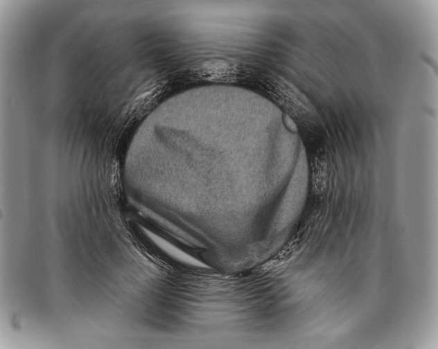 X0000096380748200802141431