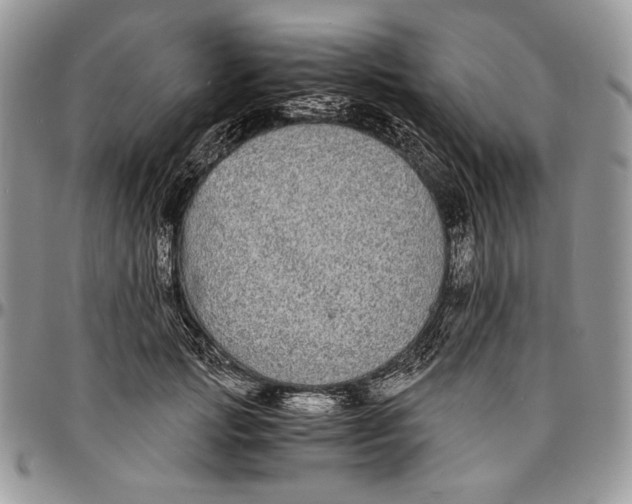 X0000096380749200802141431