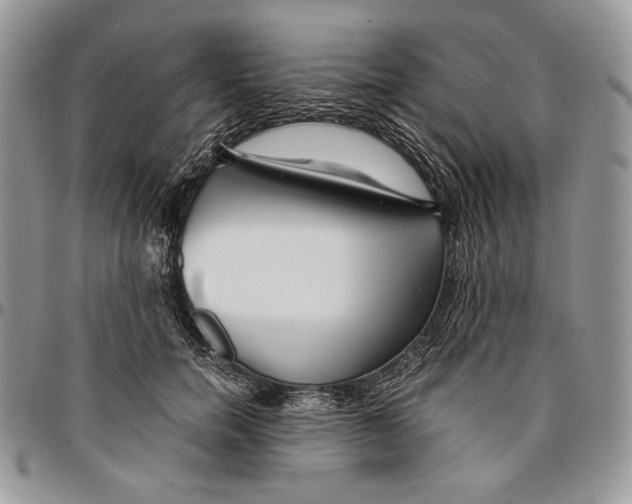 X0000096380750200802141431