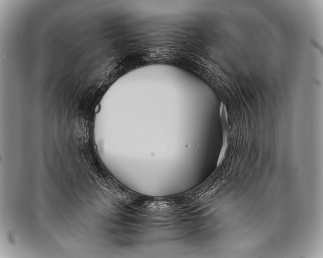 X0000096380751200802141431