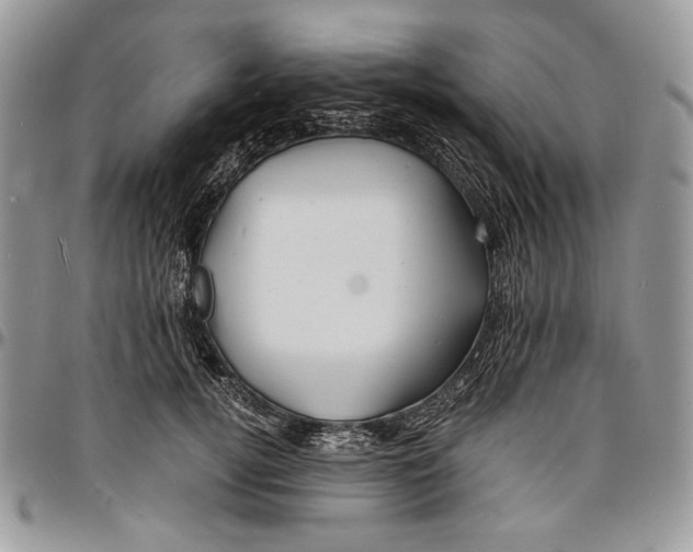 X0000096380752200802141431