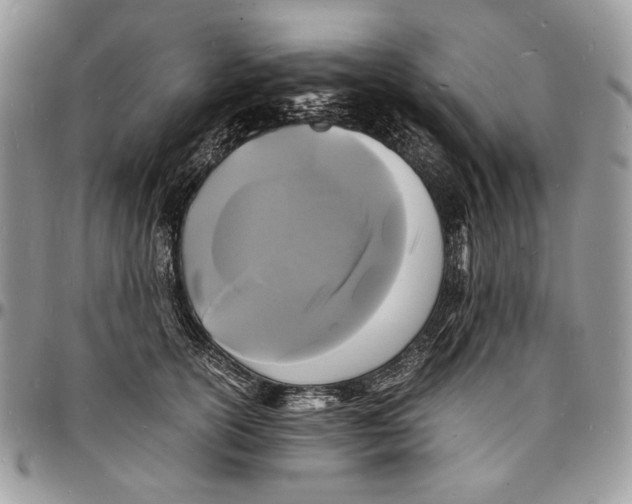 X0000096380754200802141431