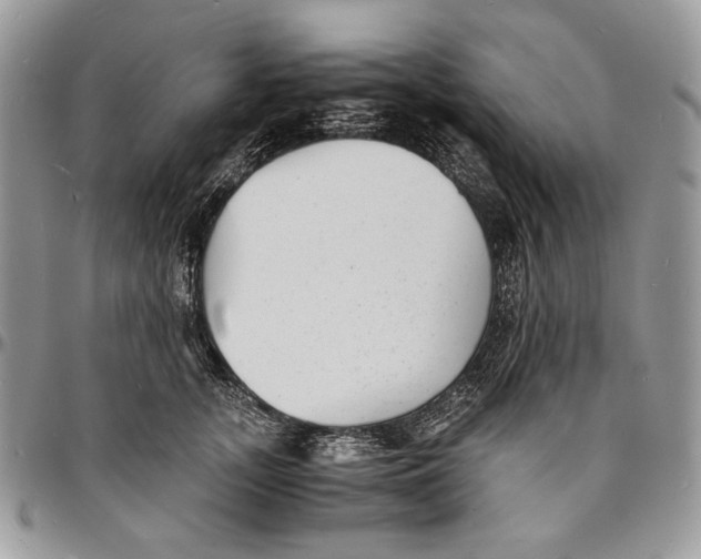 X0000096380755200802141431