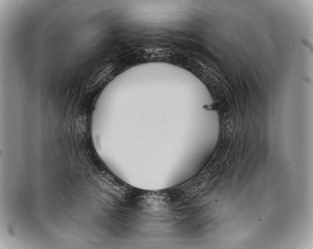 X0000096380756200802141431