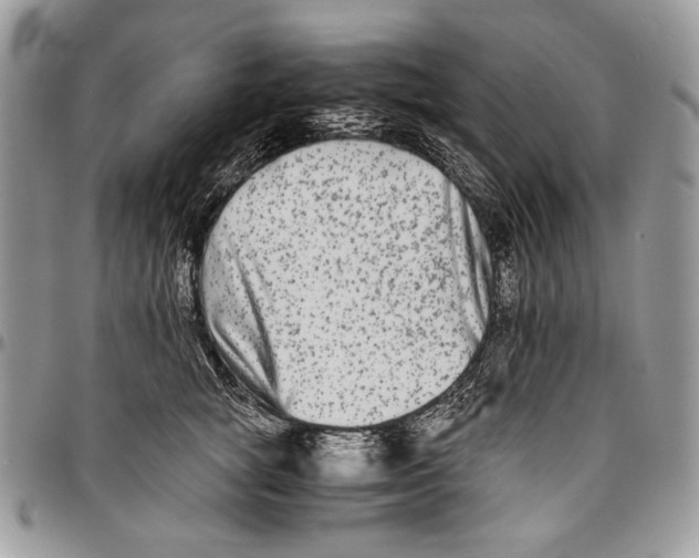 X0000096380757200802141431