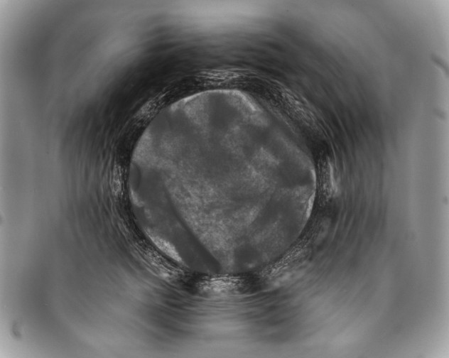 X0000096380758200802141431