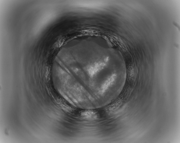 X0000096380759200802141431