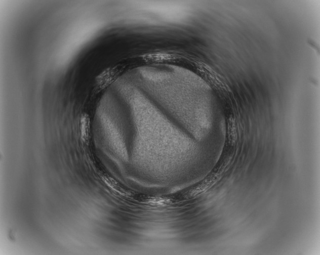 X0000096380760200802141431