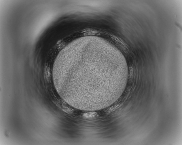 X0000096380761200802141431