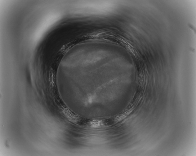 X0000096380762200802141431