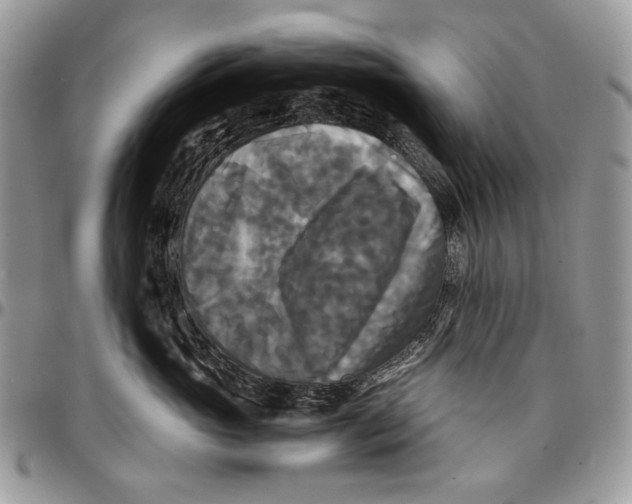 X0000096380765200802141431