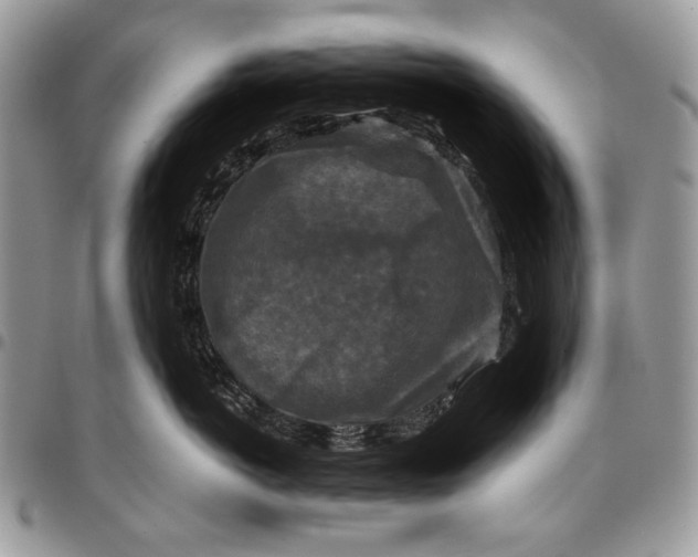 X0000096380766200802141431