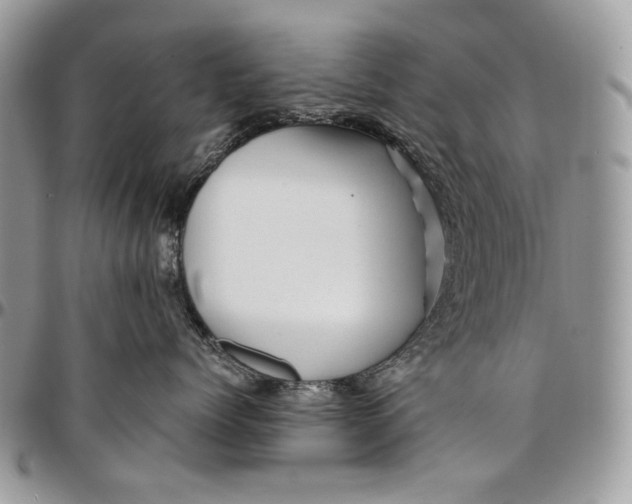 X0000096380768200802141431