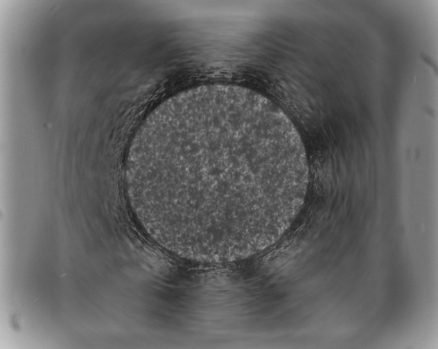 X0000096380769200802141430