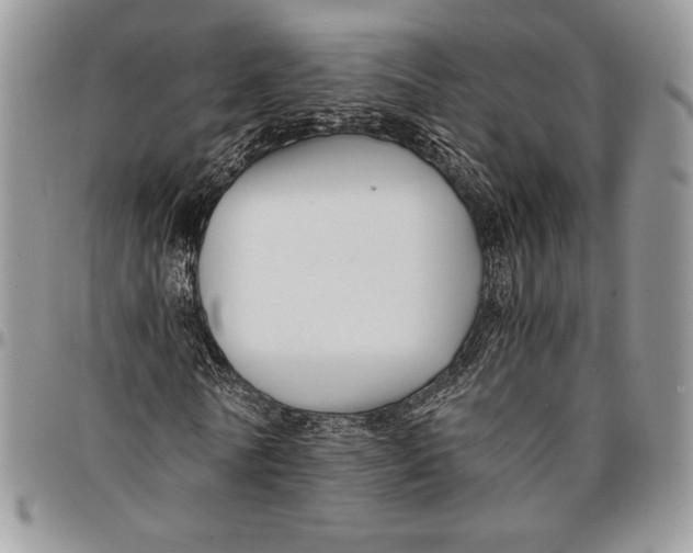 X0000096380770200802141430