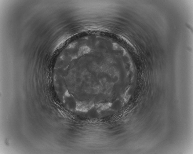 X0000096380775200802141430