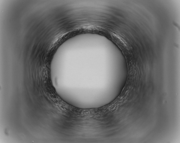 X0000096380776200802141430