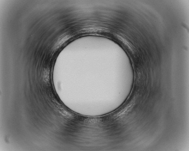 X0000096380778200802141430