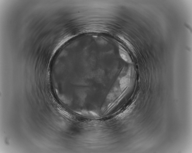 X0000096380779200802141430