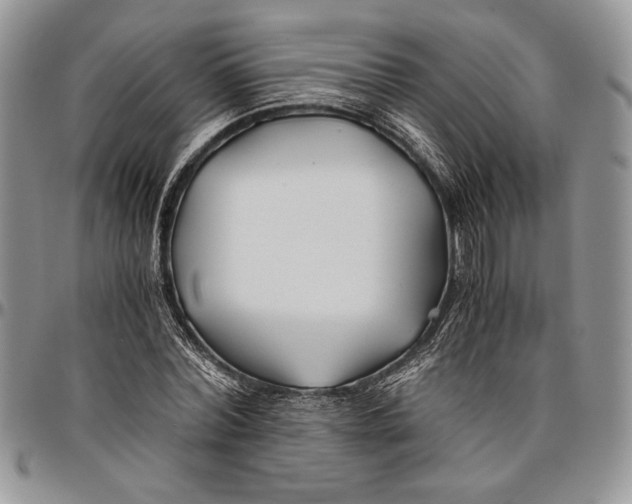 X0000096380780200802141430