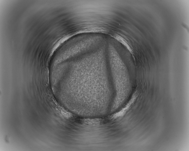 X0000096380781200802141430