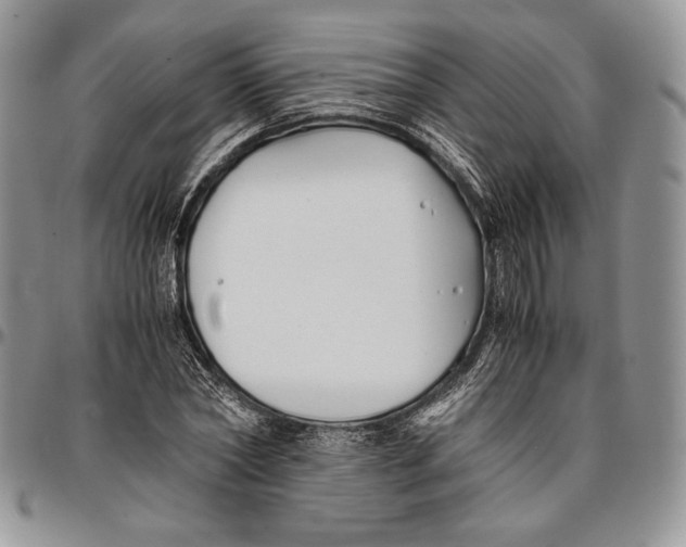 X0000096380782200802141430