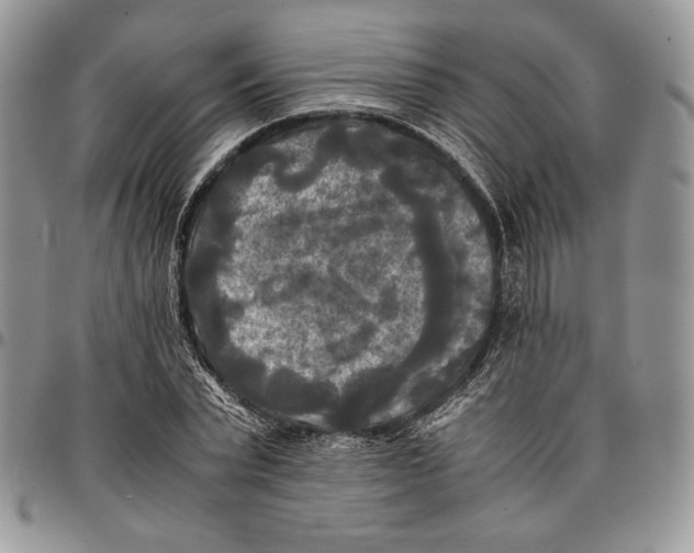 X0000096380783200802141430