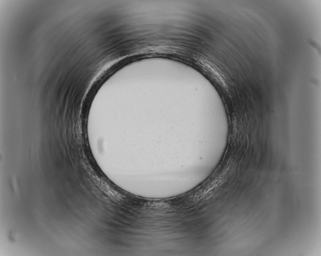 X0000096380784200802141430