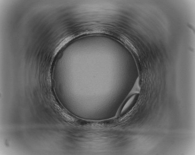 X0000096380789200802141430