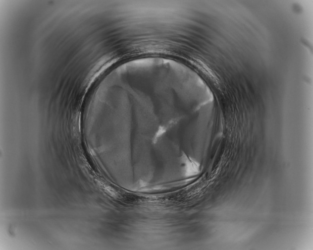 X0000096380790200802141430