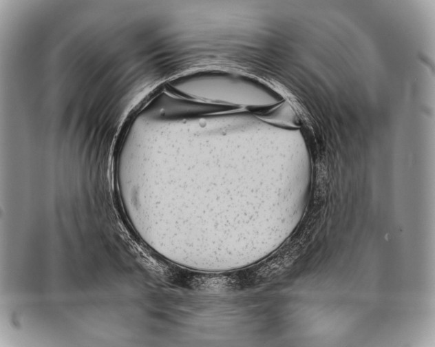 X0000096380791200802141430