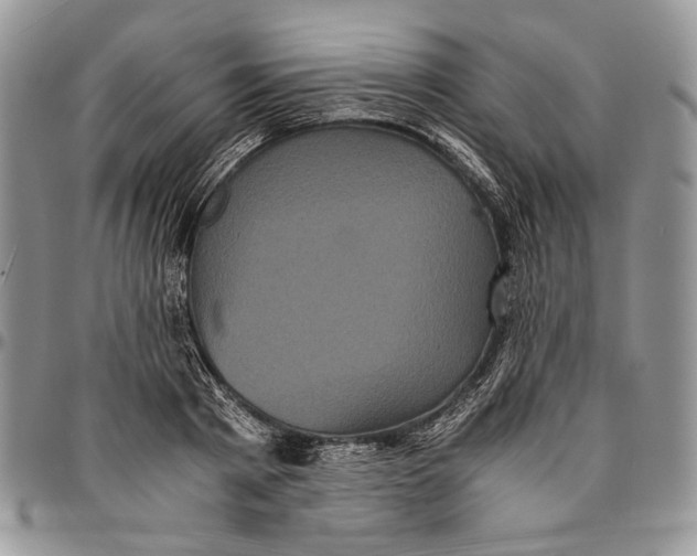 X0000096380793200802141430