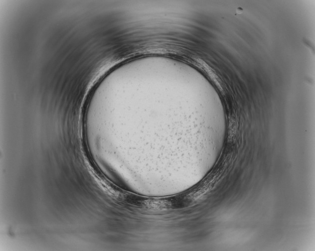 X0000096380795200802141430