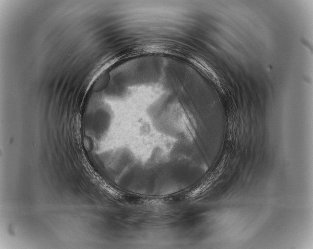 X0000096380798200802141430