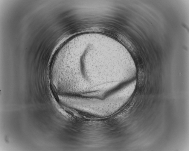 X0000096380800200802141430