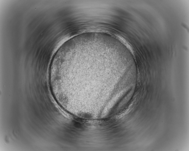 X0000096380803200802141430