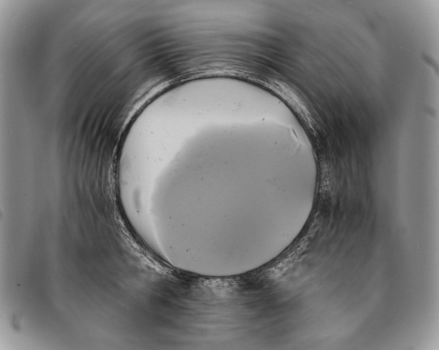 X0000096380806200802141430