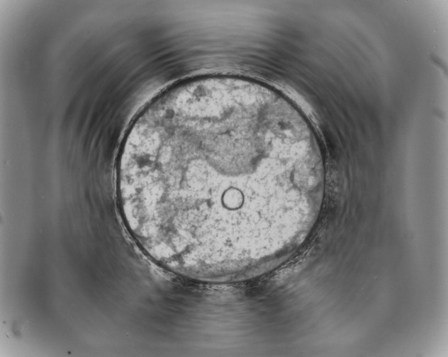 X0000096380807200802141430