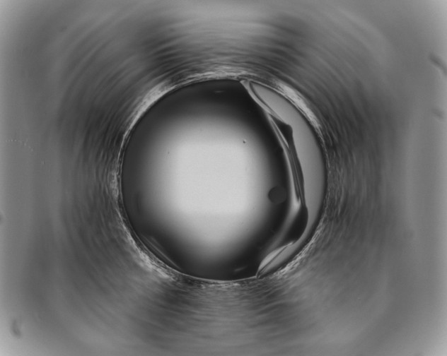 X0000096380810200802141430