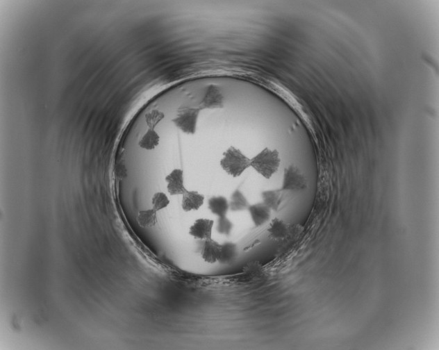 X0000096380811200802141430