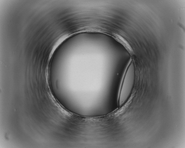 X0000096380812200802141429