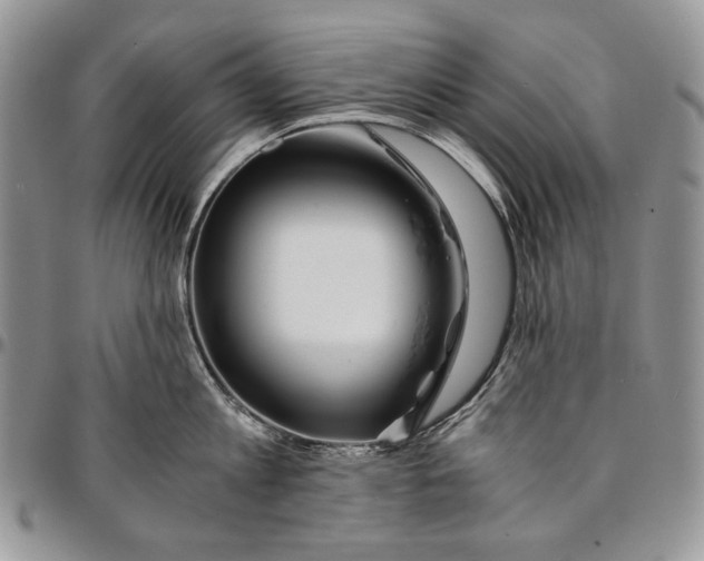 X0000096380813200802141429