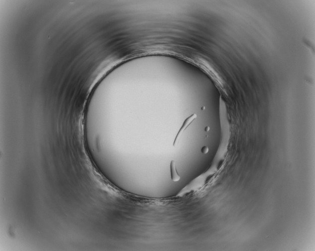 X0000096380814200802141429